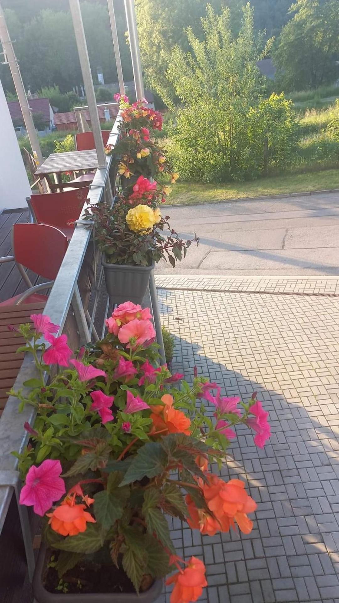 Pension Salma Чески-Крумлов Экстерьер фото
